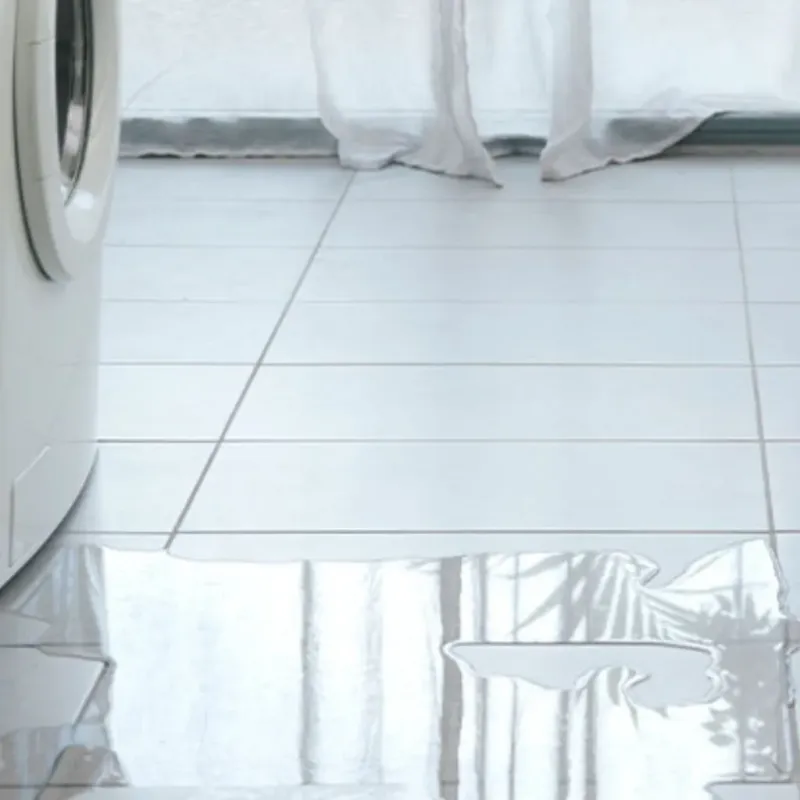 Appliance Leak Cleanup in Taylor County, TX