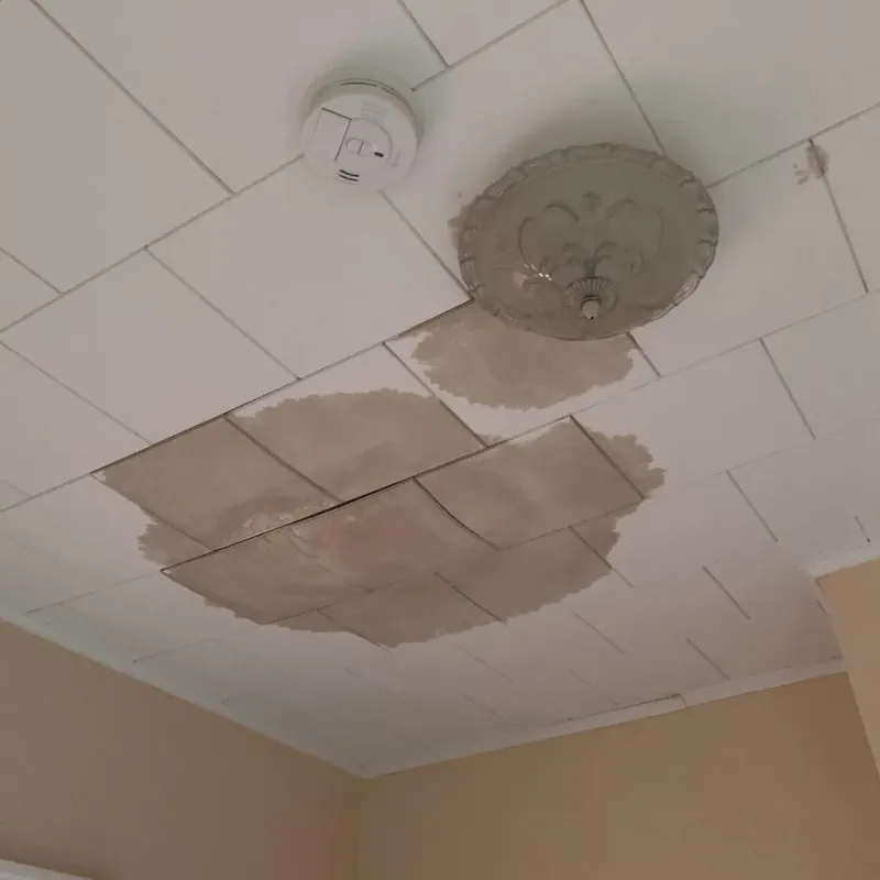 Ceiling Water Damage Repair in Taylor County, TX