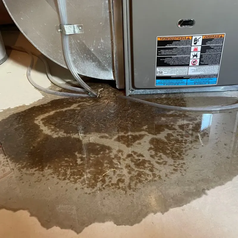 Pipe Burst and Leak Restoration in Taylor County, TX