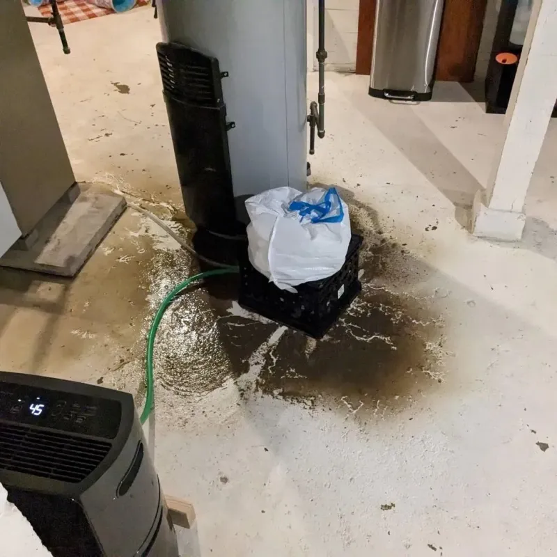 Sewage Backup Cleanup Service in Taylor County, TX